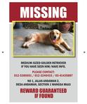 The 'Missing' poster we made for Bailey