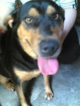 The ever friendly Jasmine