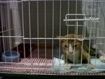 Garfield new home :)