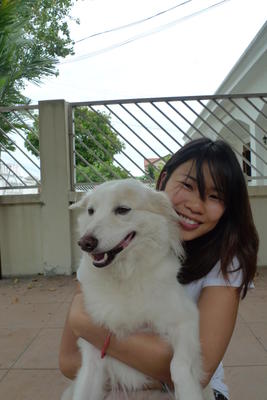 Snowy - Spitz Dog