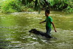 Swimming n exercising -Air deras Sungai Sedim