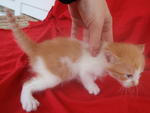 What a tiny little body...