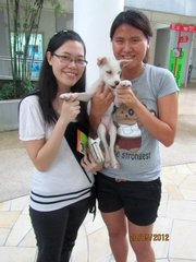 Adopted!!