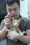 X (Adopted) Leng-zai (靓仔) - Domestic Short Hair Cat