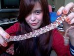 my first corn snake-KORNY