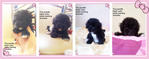 Black Tiny Toy Poodle - Poodle Dog