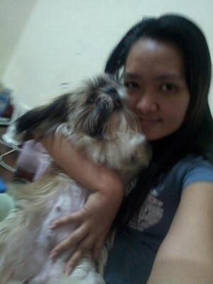 My Baby Happy - Shih Tzu Dog