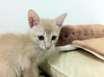 with his toy - Australian sting ray