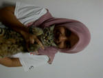 Terung - Tabby Cat