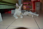 7/6/12 da besar