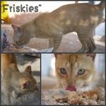 FRISKIES