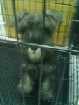 the 1st day i bought him...blur blur 1..haha