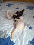 Siblings playtime...: )