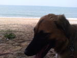 Cooling off in the shade at Aunty Ruby's, Cherating Beach.