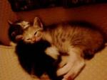 Zack & Chelsea - when they were still small.