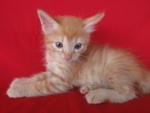 So cute...
