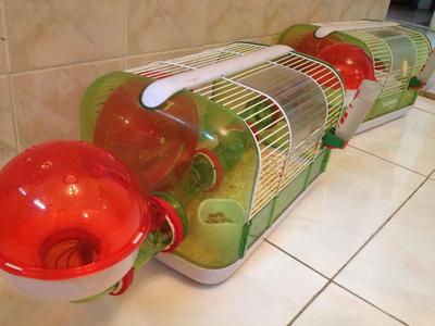 Two Second Hand Hamster Habitat Min - Roborovsky's Hamster Hamster