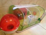 Two Second Hand Hamster Habitat Min - Roborovsky's Hamster Hamster