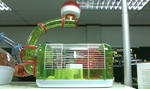 Two Second Hand Hamster Habitat Min - Roborovsky's Hamster Hamster