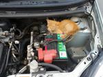 hiding in the engine