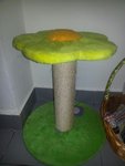 cat tree 50% diskaun = RM47