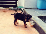 Kieran exploring the garden