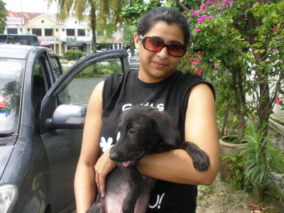 The Bucuk Booby Blacky - Mixed Breed Dog