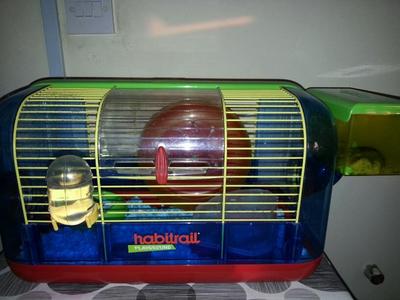 Hamster Family - Striped Hamster Hamster