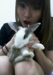 Bibi ♥  - Bunny Rabbit Rabbit