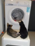 Enjoying the washing machine with my sister