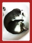 i love sleeping in sinks :)