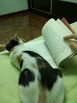 Mimi is reading the book with me