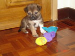 Aged 1 Month and 1 week; playing with his favorite toy! :)