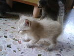 plz call me puteh! (female)