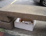 Under stone bench