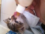 On bottle feeding now