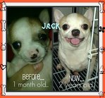 Jack - before and now...