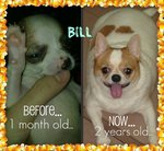 Bill - before and now...