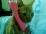 HELLO,MIMI ADER TAK??