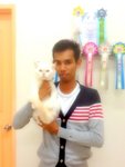 Prince Masato - Domestic Short Hair Cat