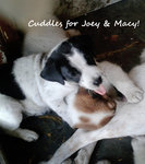 Loving siblings Joey & Macy