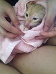 Munky's first bath.