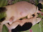 POSE SLEEP 3