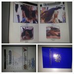 passport & microchip