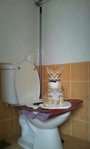 During my toilet training. 