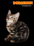 Doraemon (Brown Marble) - Bengal Cat