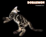 Doraemon (Brown Marble) - Bengal Cat