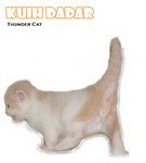 Kuih Dadar - Ragamuffin Cat