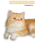 Chicken Little (Flat Face) - Persian Cat