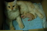 Me & My Son (Kaneshiro)